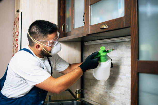 Best Emergency Pest Control  in Russellville, AR