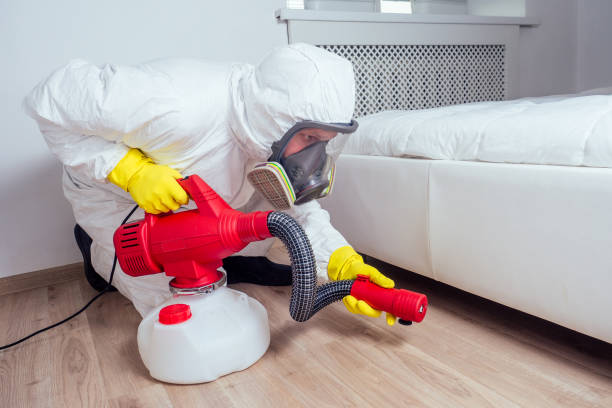 Best Best Pest Control Companies  in Russellville, AR