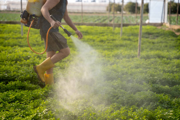 Best Pest Inspection Near Me  in Russellville, AR