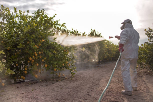 Best Affordable Exterminators  in Russellville, AR