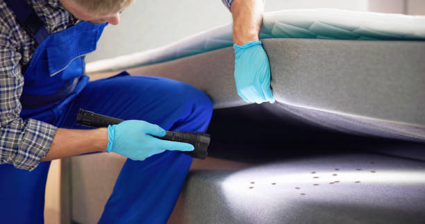 Best Commercial Pest Control Services  in Russellville, AR