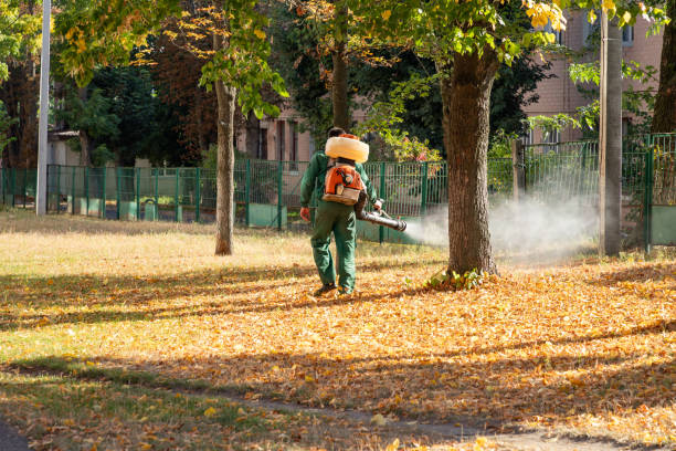 Reliable Russellville, AR Pest Control Solutions