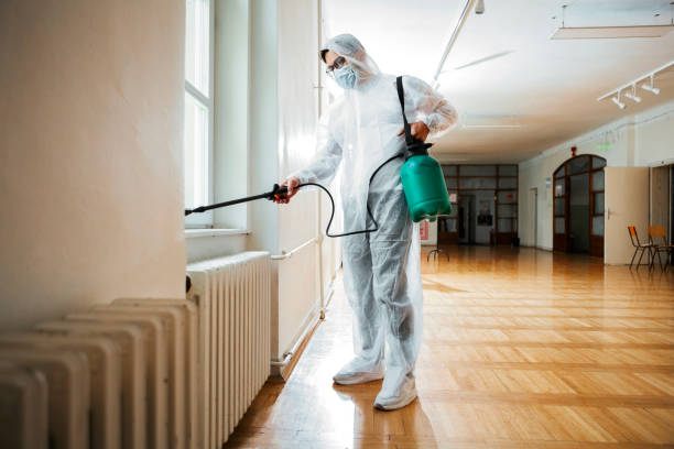 Best Affordable Pest Control Services  in Russellville, AR