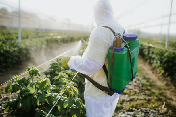 Best Pest Control Treatment  in Russellville, AR